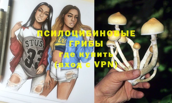 стафф Тобольск