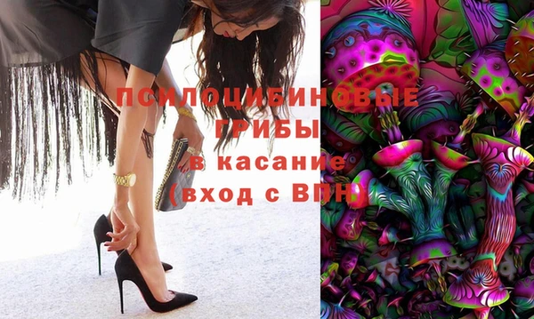 первитин Туринск