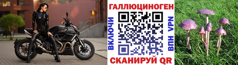 Купить закладки  Новоуральск  Псилоцибиновые грибы мухоморы 