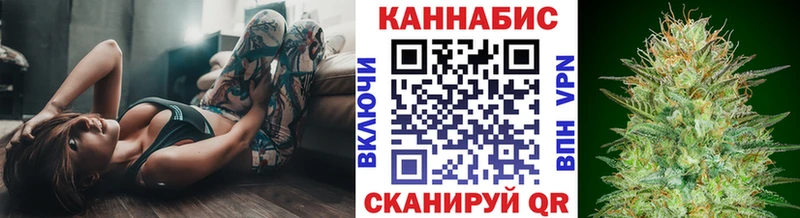 Купить закладки  Новоуральск  Канабис планчик 